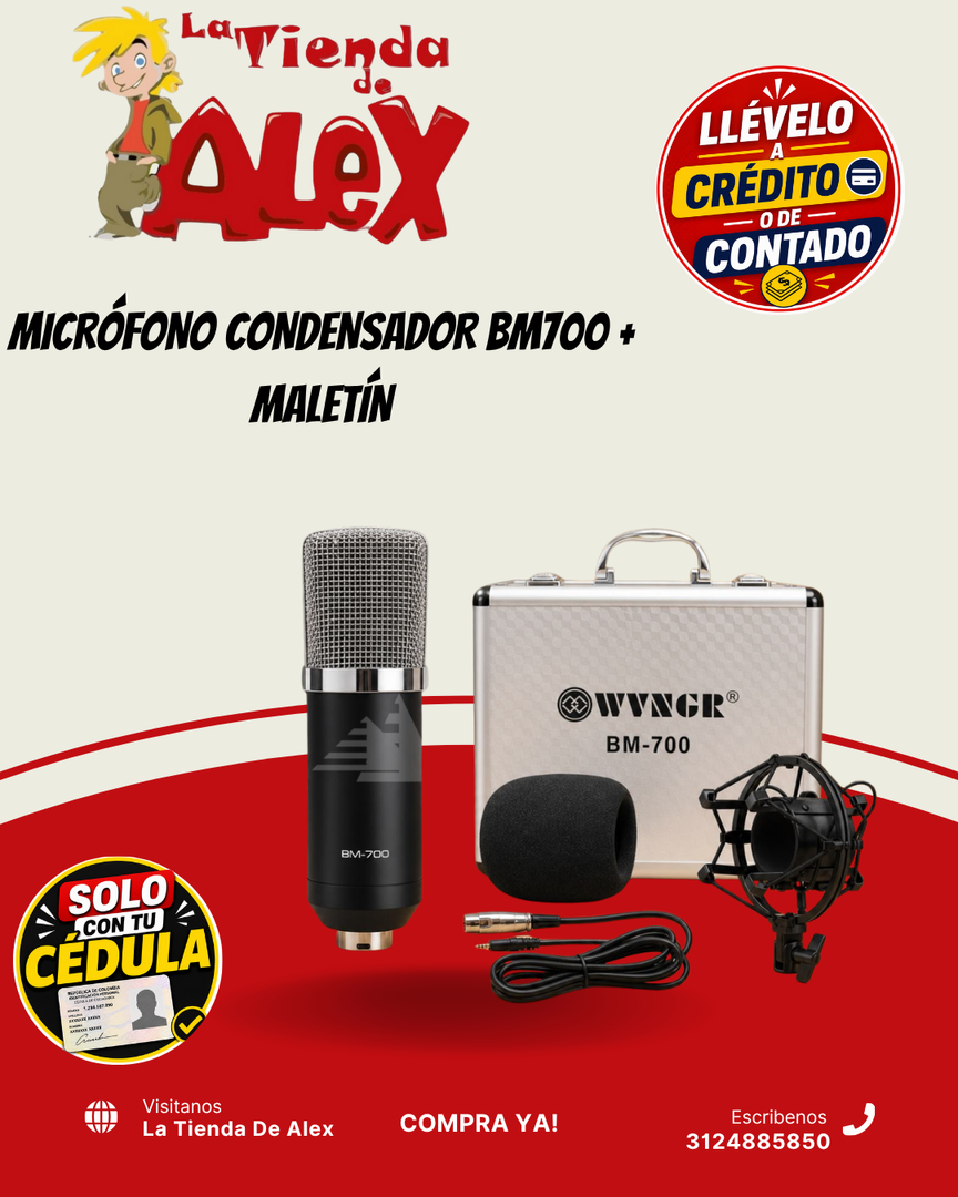 MICRÓFONO CONDENSADOR BM700 + MALETÍN
