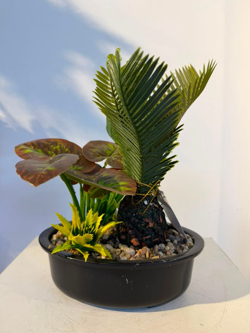 BONSAI MIX 