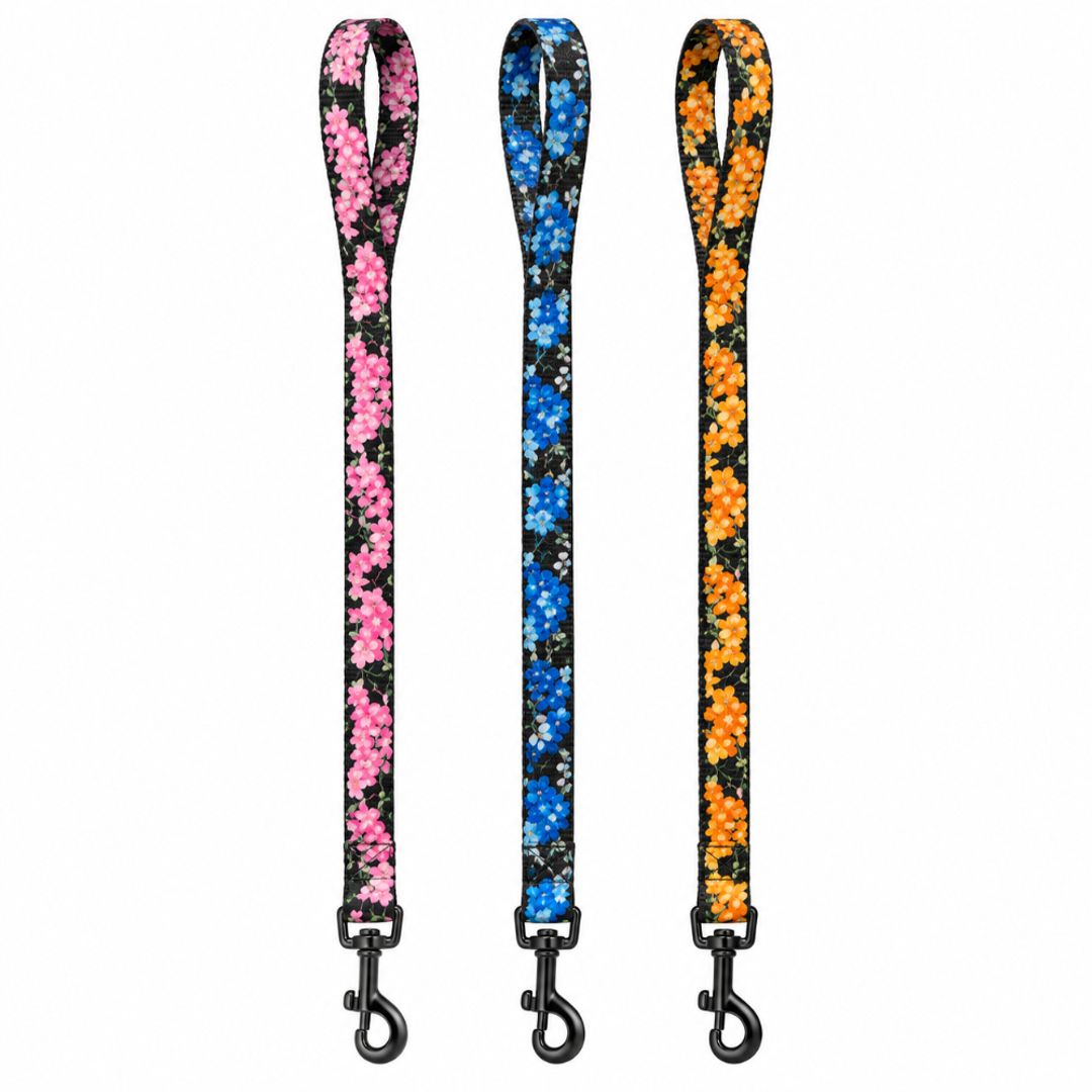 Collar para mascota