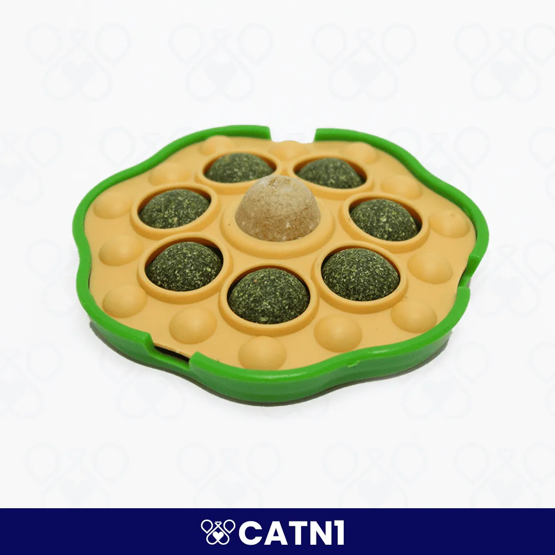 CATN1