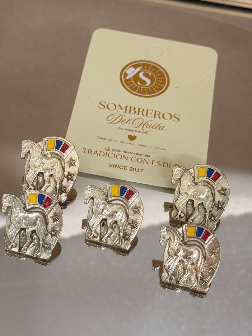 PIN HERRADURA CABALLO 