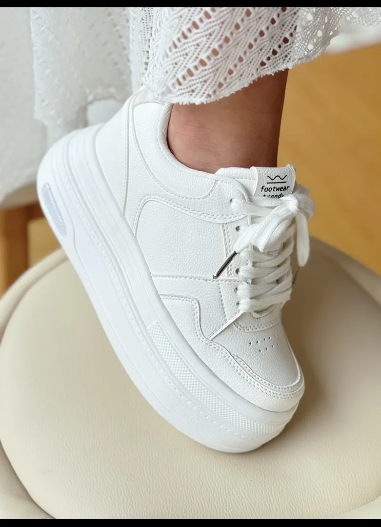 1556 blanco 