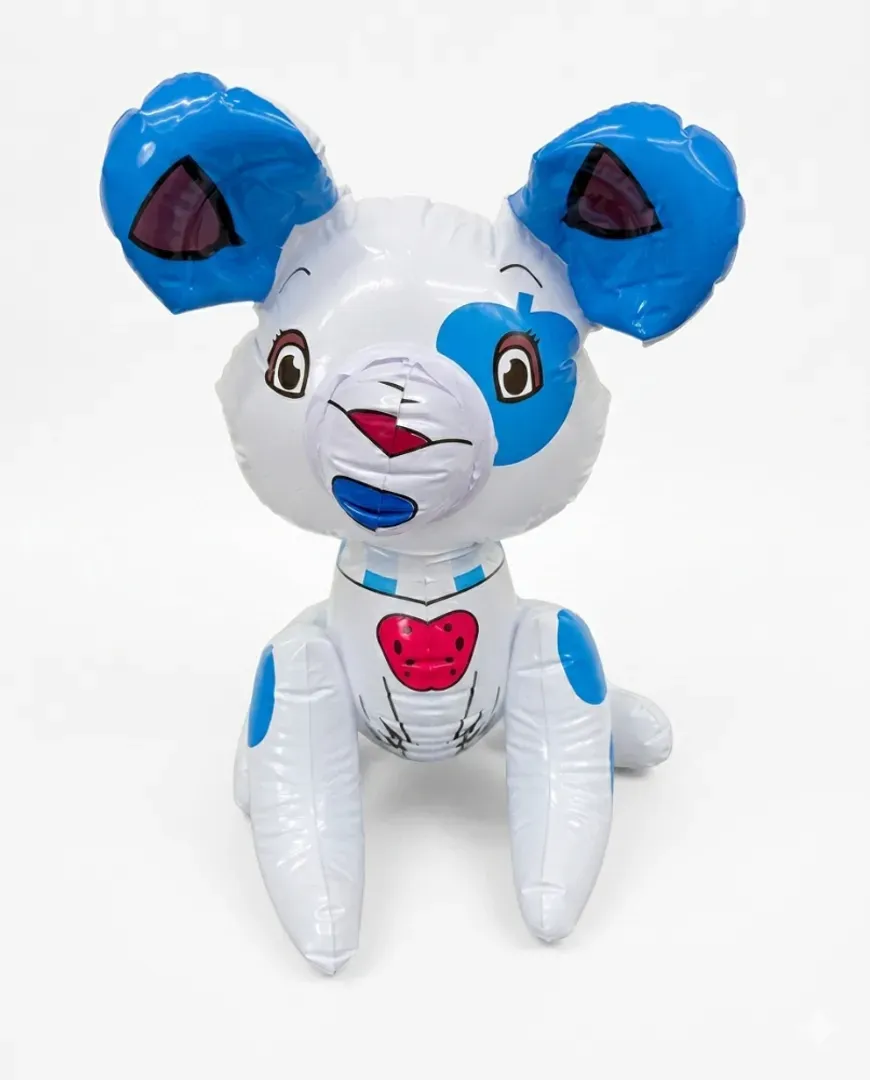 REF: SM2071
