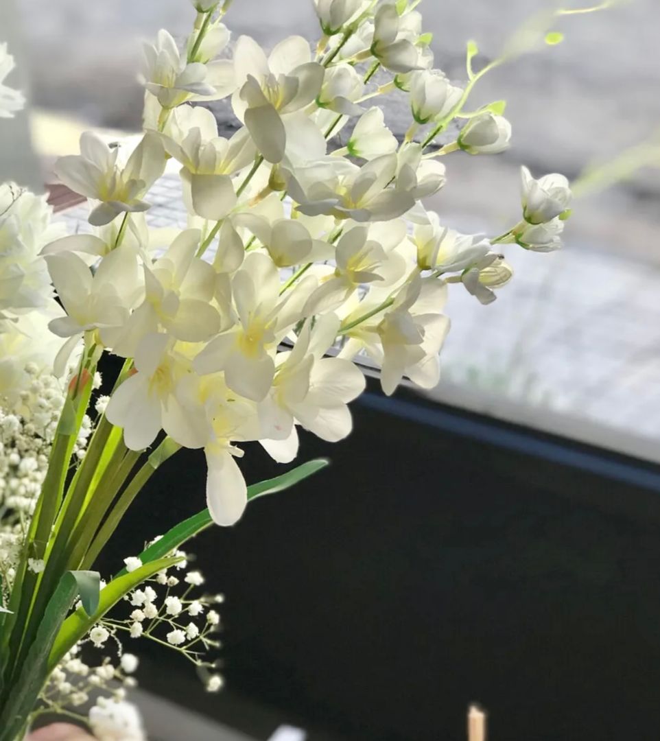 Vara de Orquideas Blancas