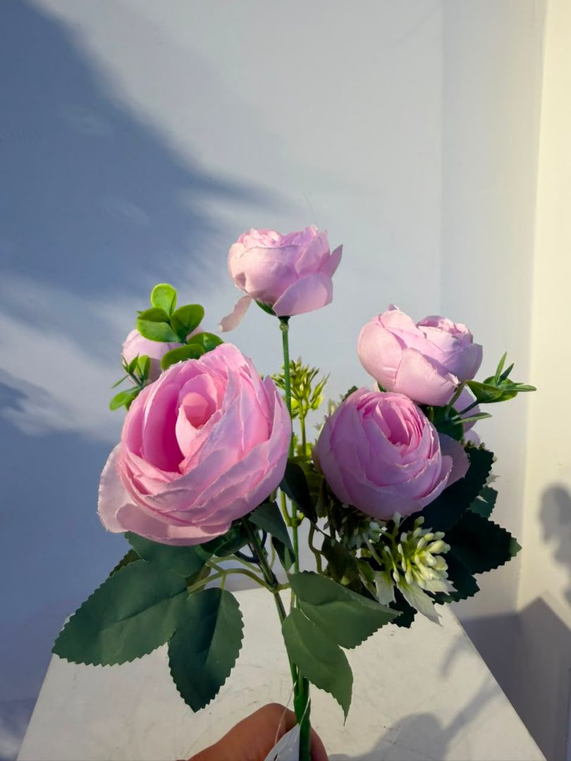 PEONIA X 6 ROSADA