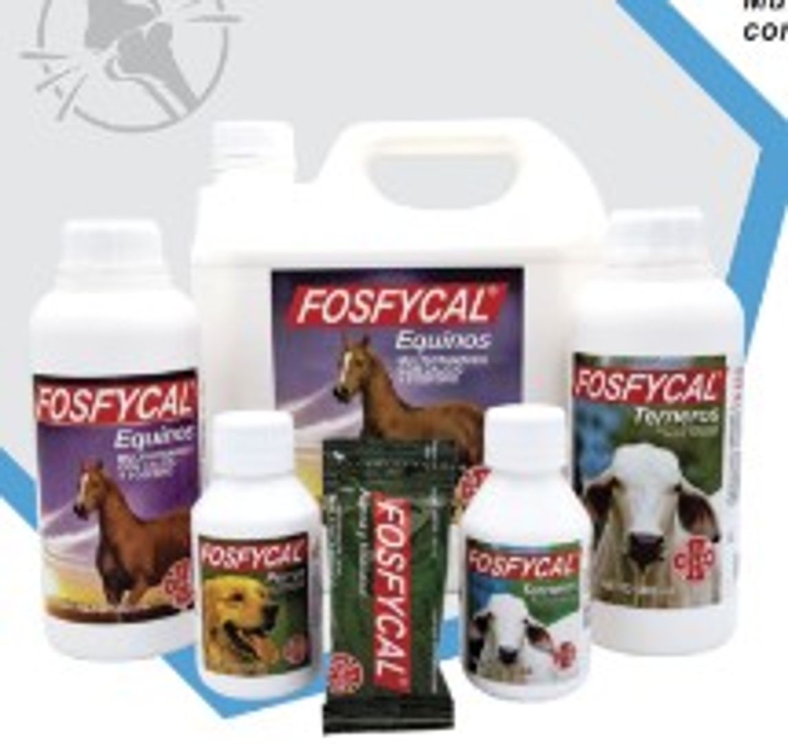 FOSFYCAL 120 ML