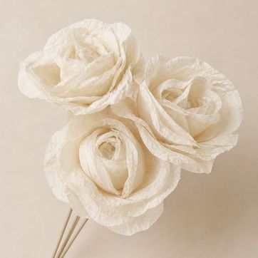 Rosa Tela - imagen 1