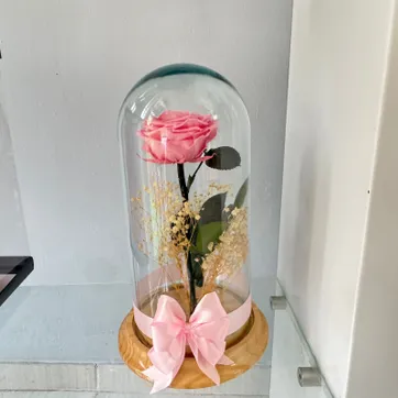 Imagen del producto ROSA ROSADA