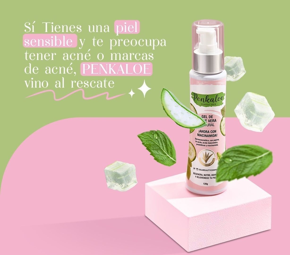 Gel de aloe Vera Penkaloe 