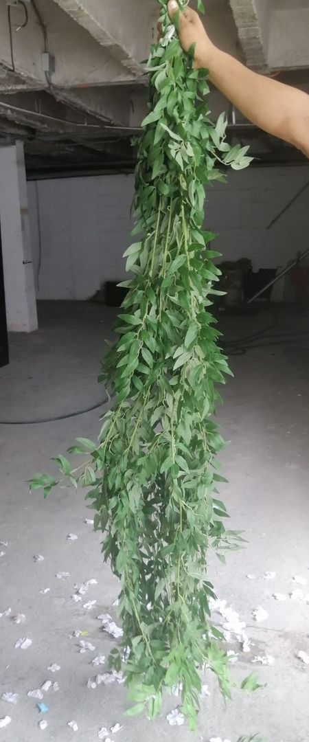 RELLENO PARA TECHO O PAREDES