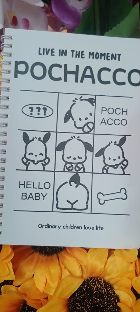 Cuadernillo pochacco