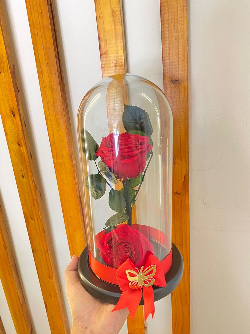 Rosa Roja preservada