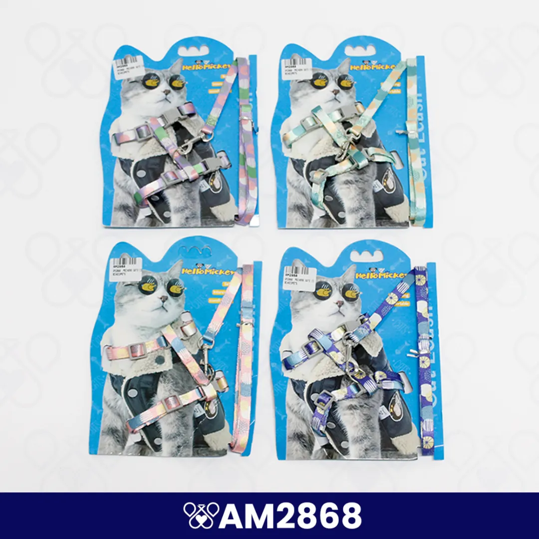 AM2868