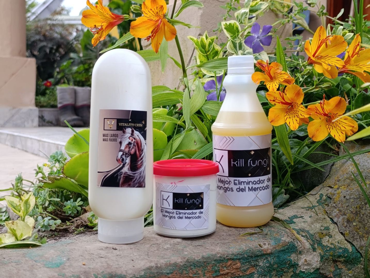 KILL FUNGI  ELIMINADOR HONGOS