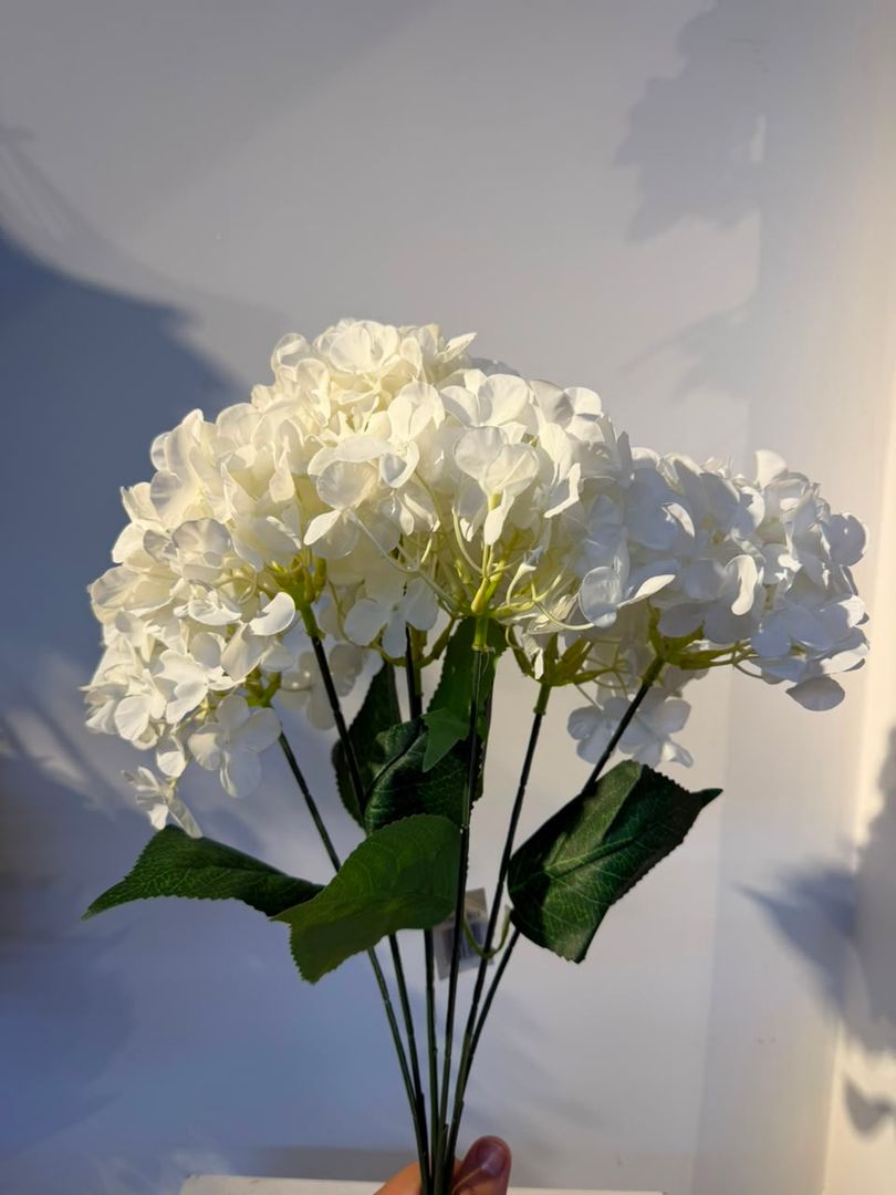 HORTENCIA BLANCA X 7 FLORES