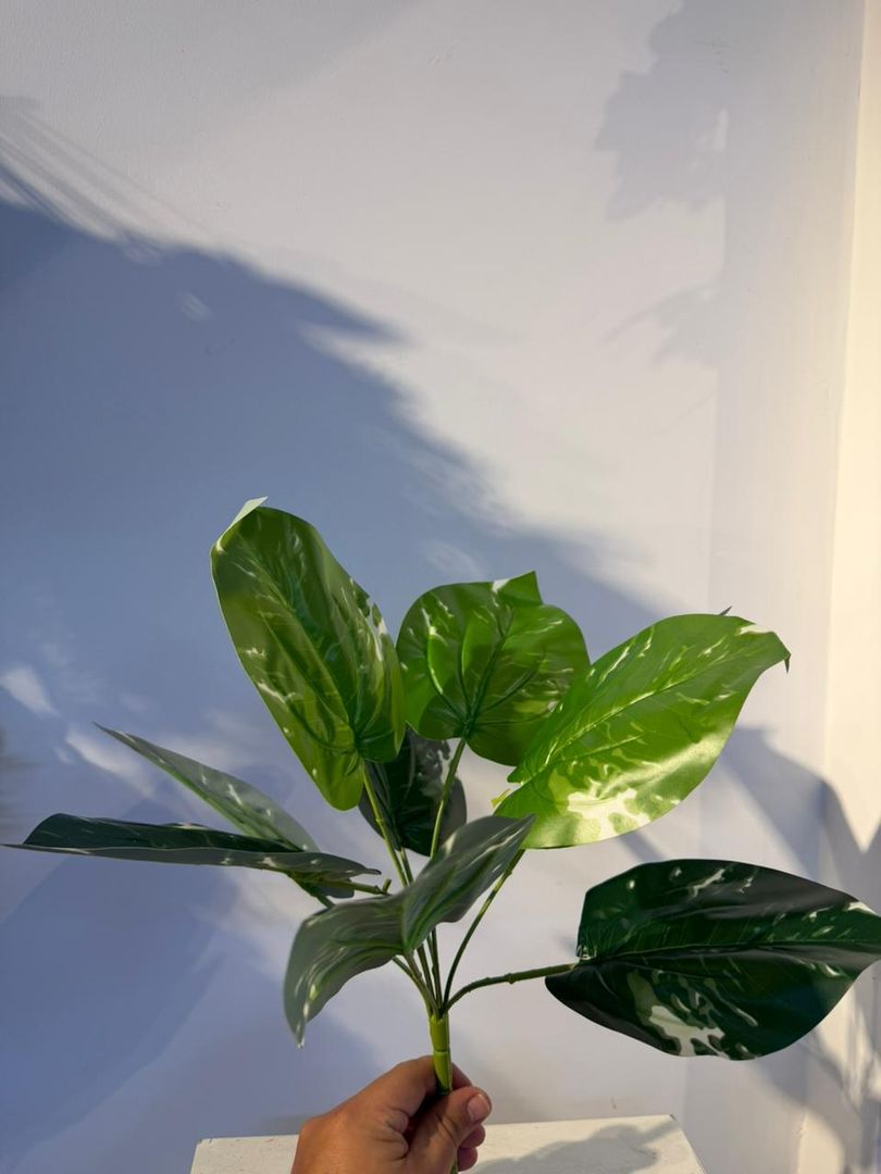MINI MIAMI VERDE BLANCO X 9