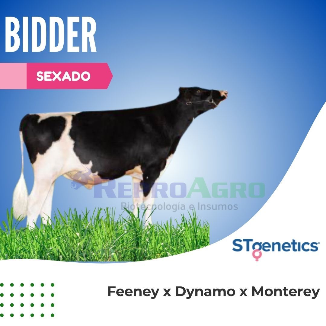 BIDDER SEXADO