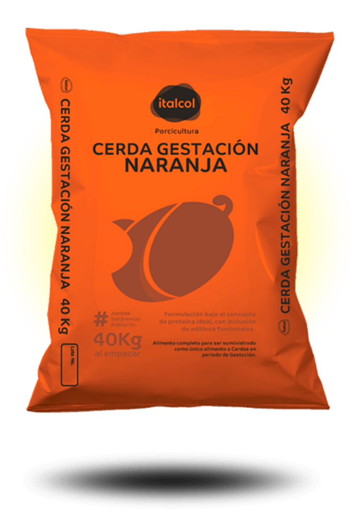 Cerda gestación naranja