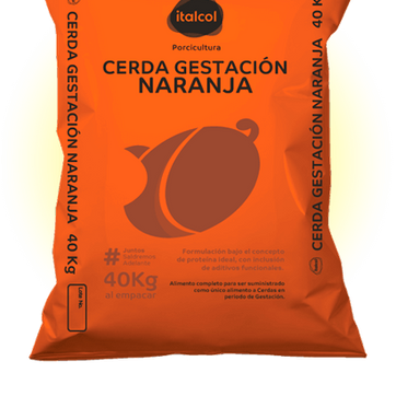 Imagen del producto Cerda gestación naranja