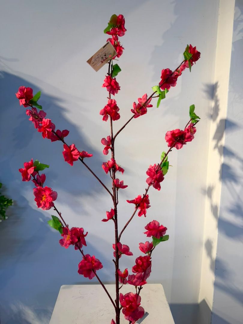 DURAZNO FUCSIA EN VARA