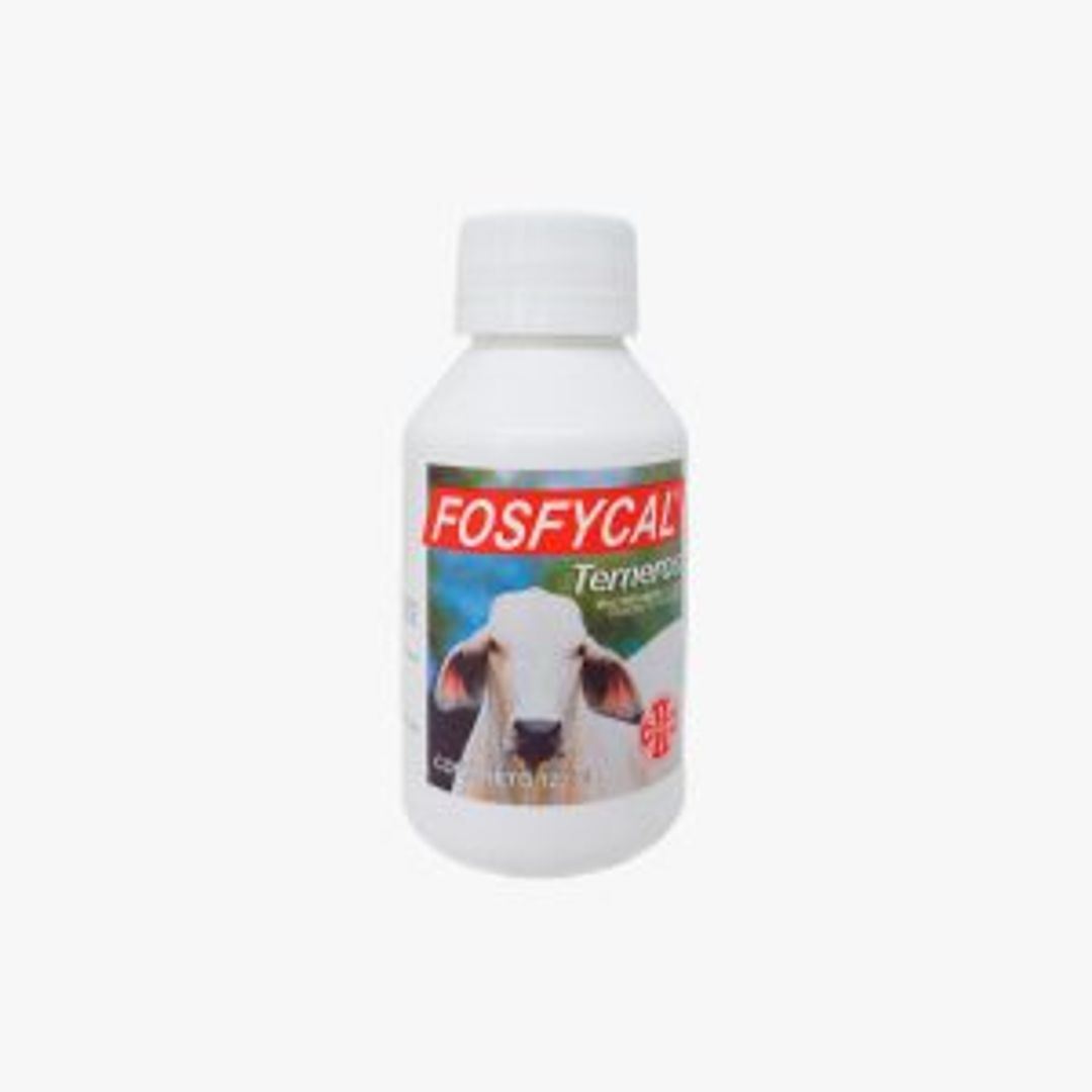 FOSFYCAL 120 ML