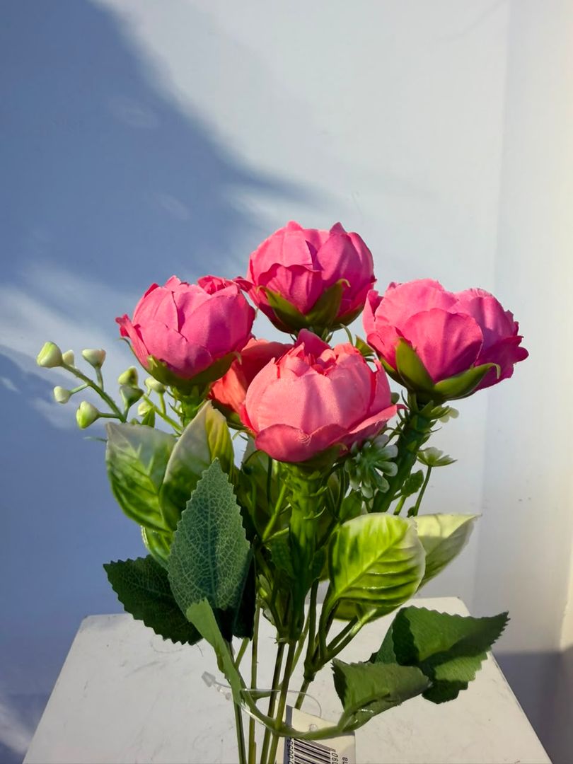 PEONIA X 5 FUCSIA Y SALMON