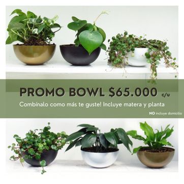 PROMO BOWL  - imagen 1