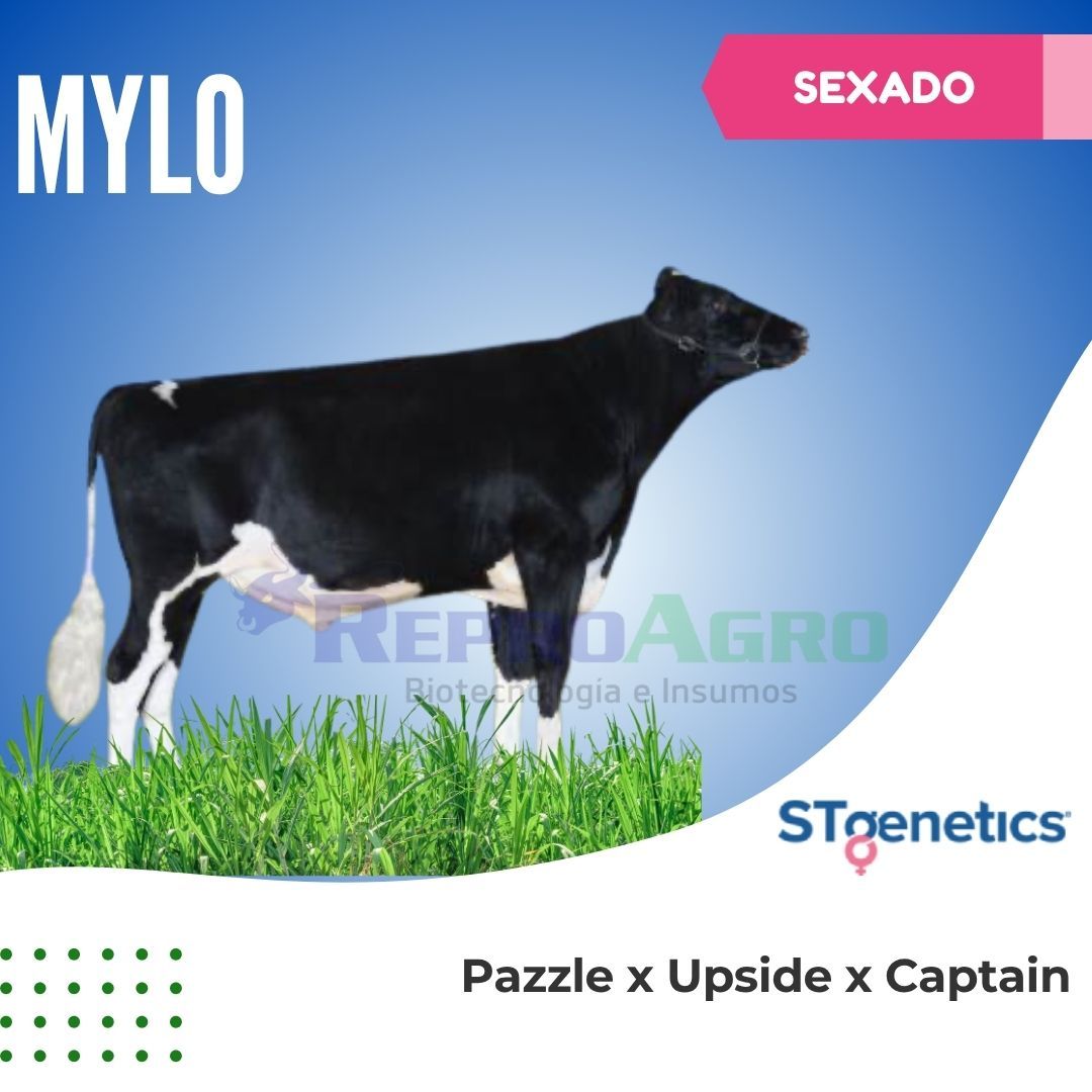 MYLO SEXADO