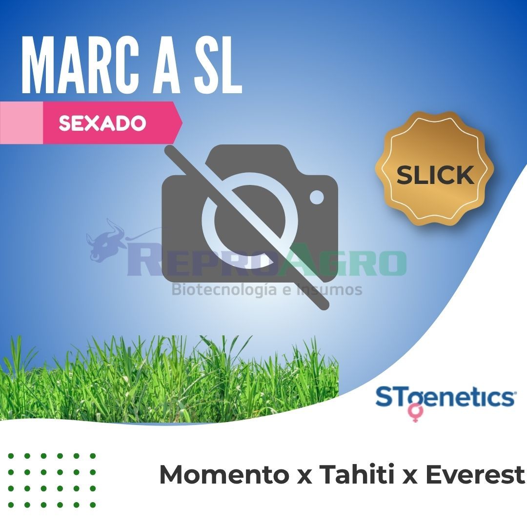 MARC A SL SEXADO