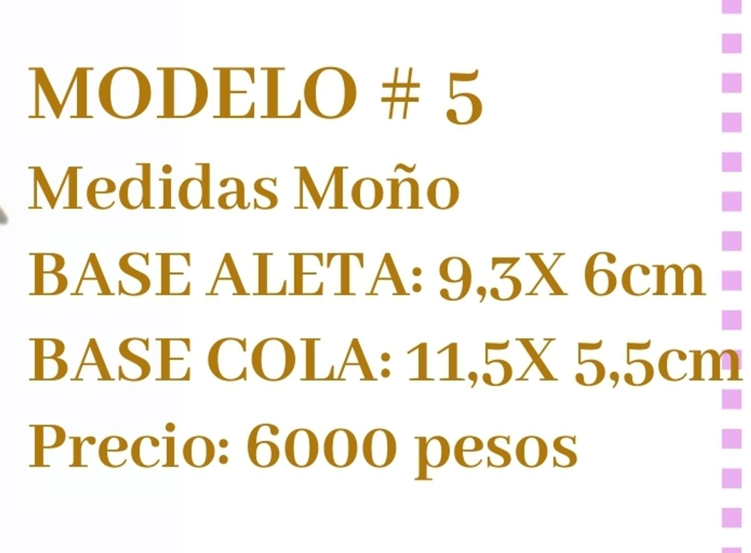 Molde 5 Único 