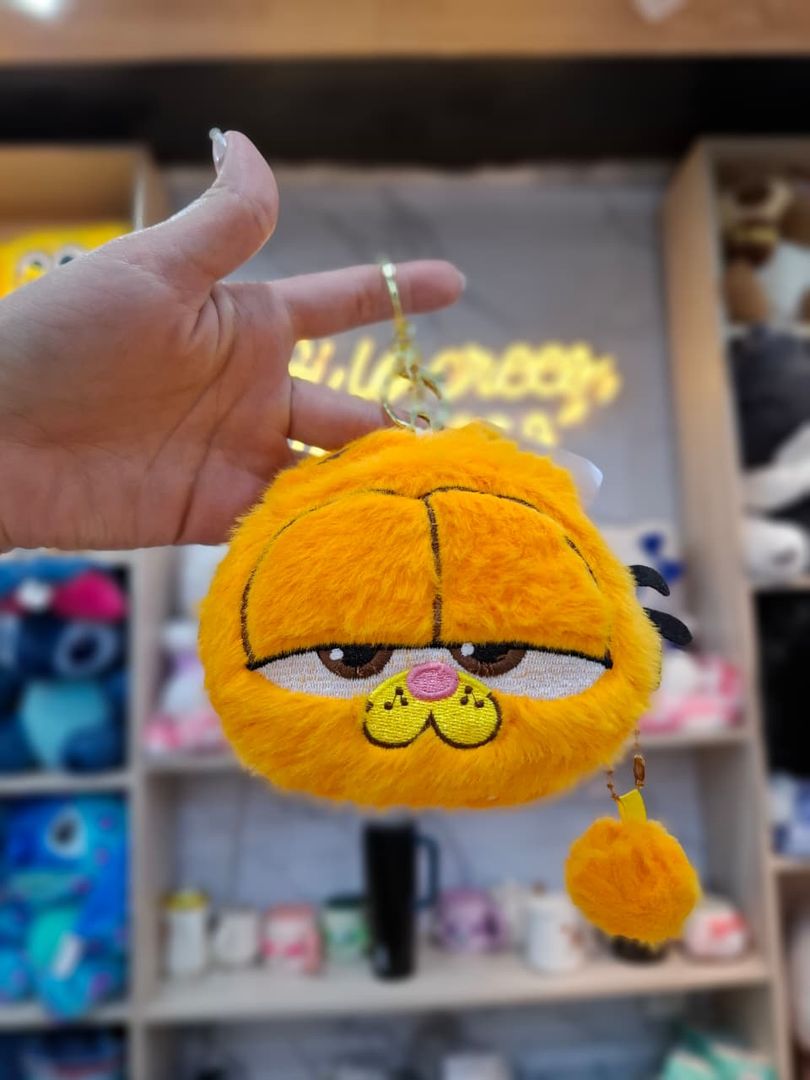 MONEDERO GARFIELD