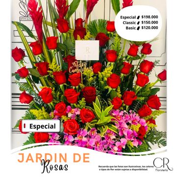 Jardín de Rosas - imagen 1