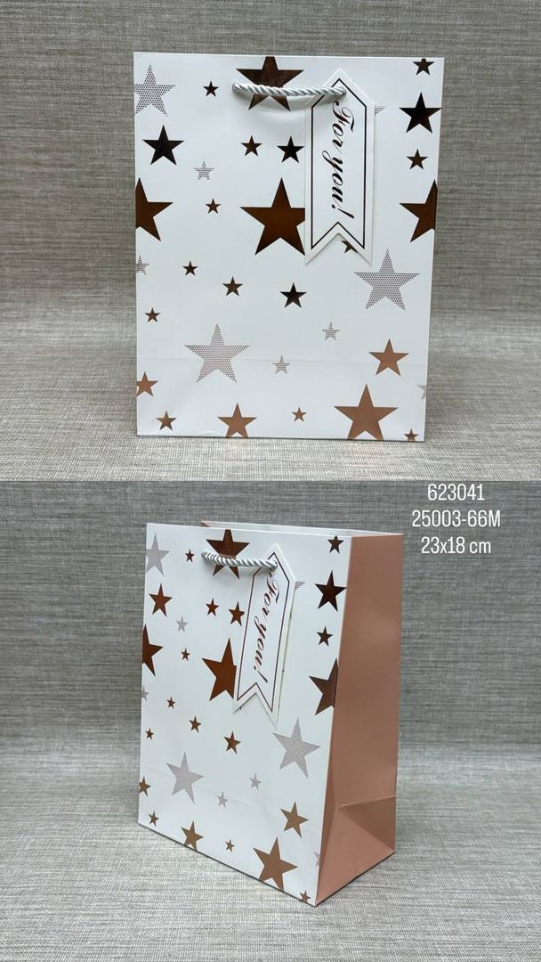BOLSA DE REGALO SURTIDA FIGURAS 23x18 CM