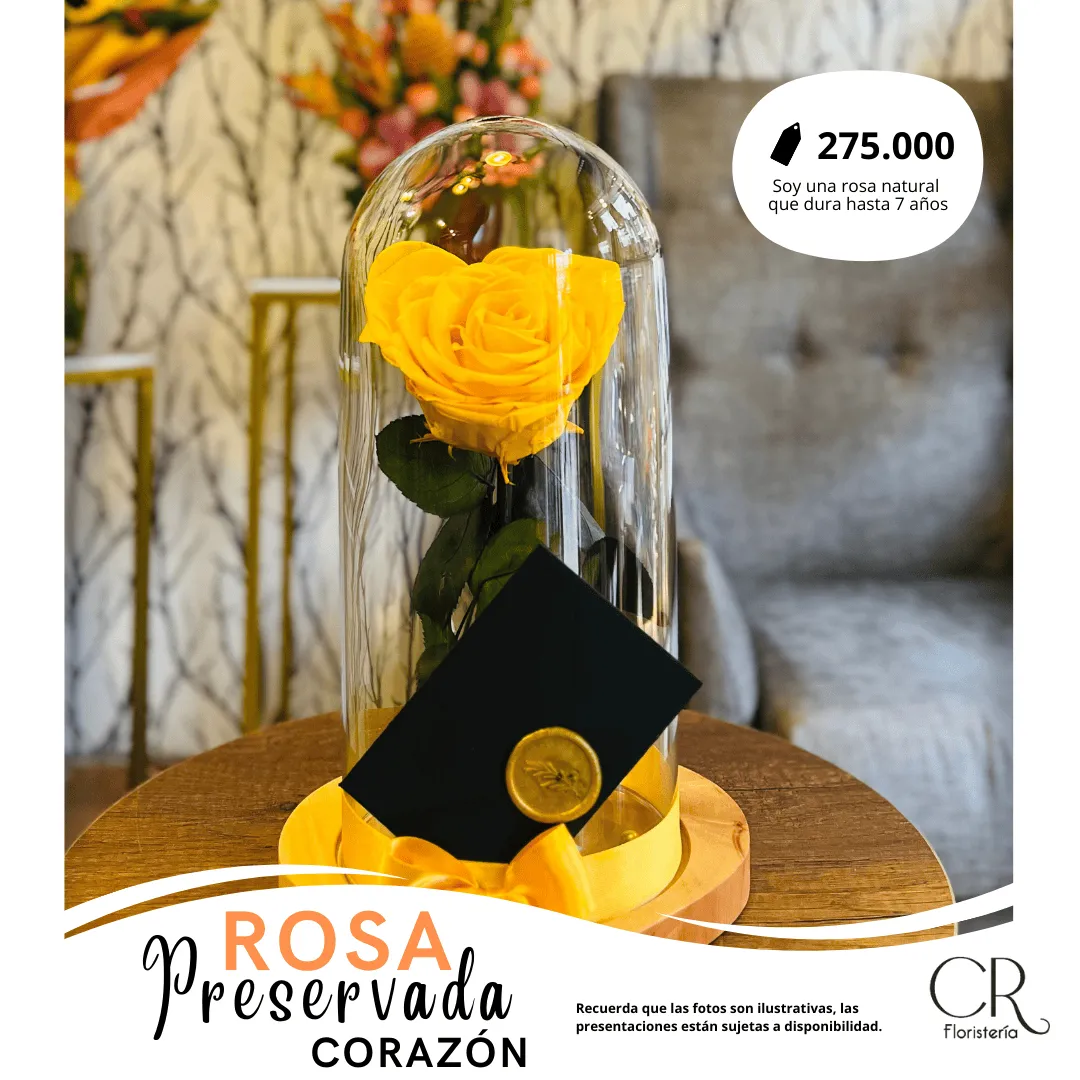 Rosa Preservada Corazón