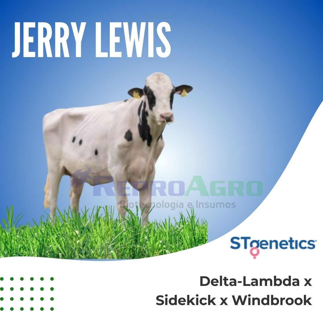 JERRY LEWIS