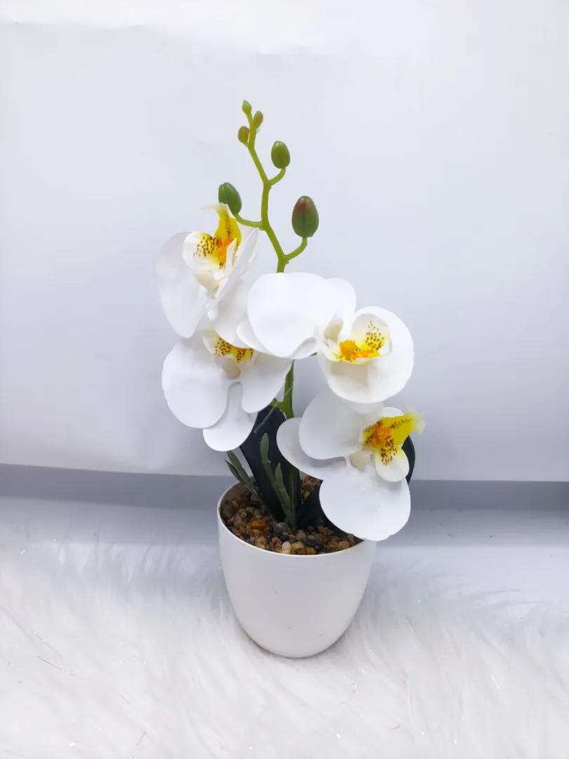 MATERO ORQUIDEA PM547