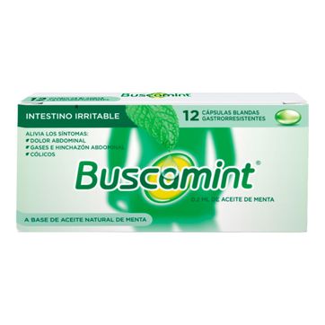 Imagen del producto BUSCAMINT DIS X 12 CAPS