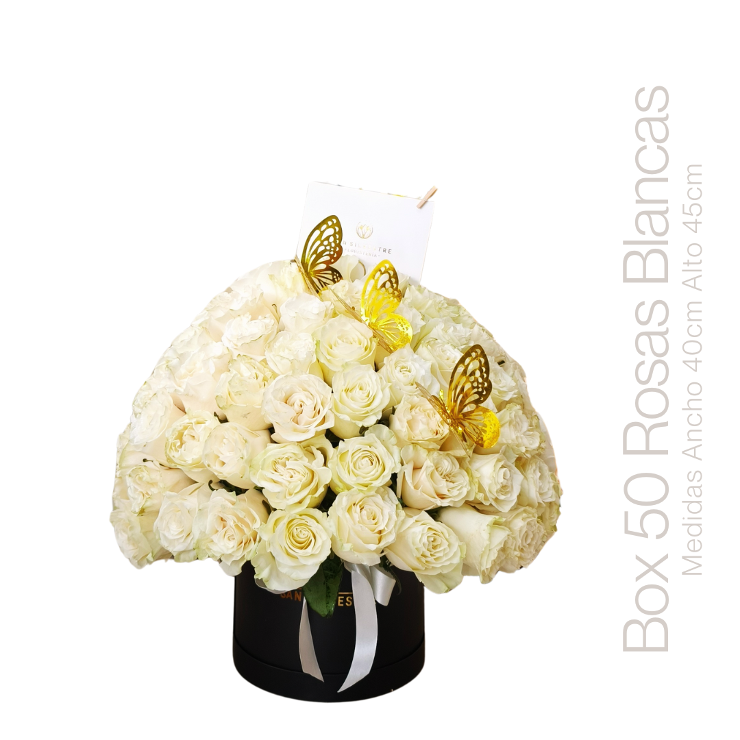 BOX ROSAS BLANCAS