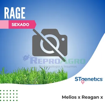 RAGE SEXADO - imagen 1