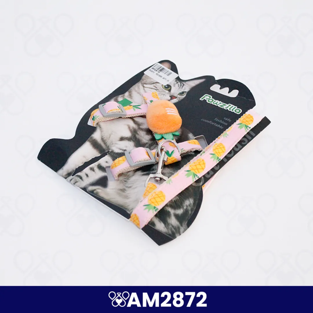 AM2872