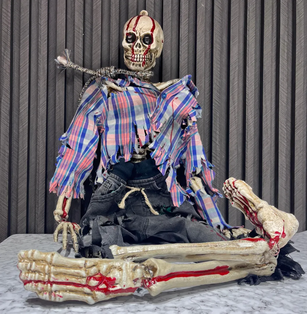 AHORCADO ESPANTA PAJAROS