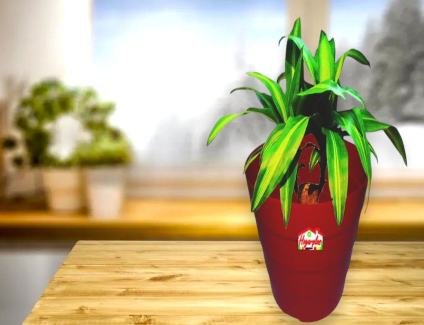 MATERA ESCALERA N° 16-H.P
