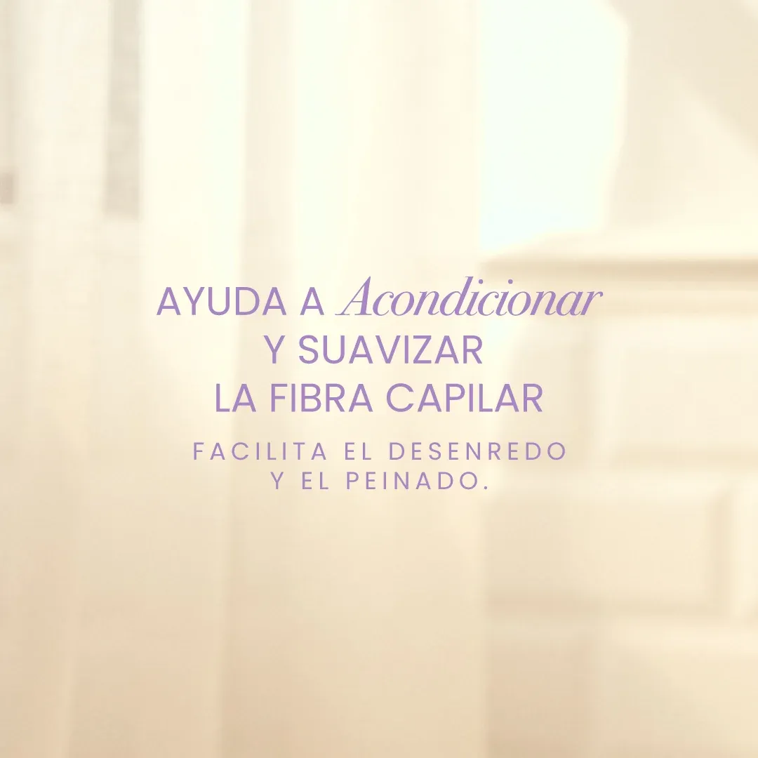 Acondicionador profesional 