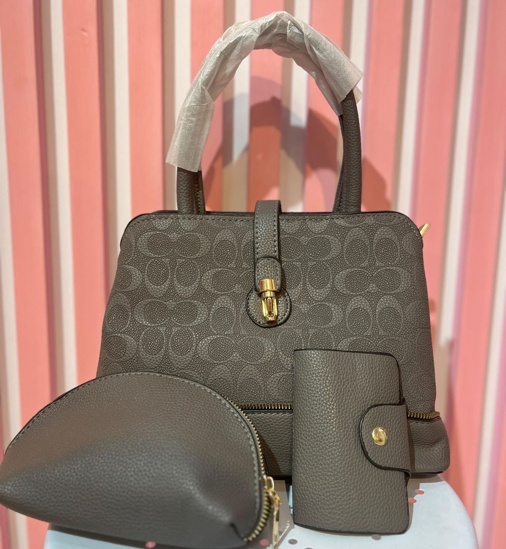 Combo bolsos x3 