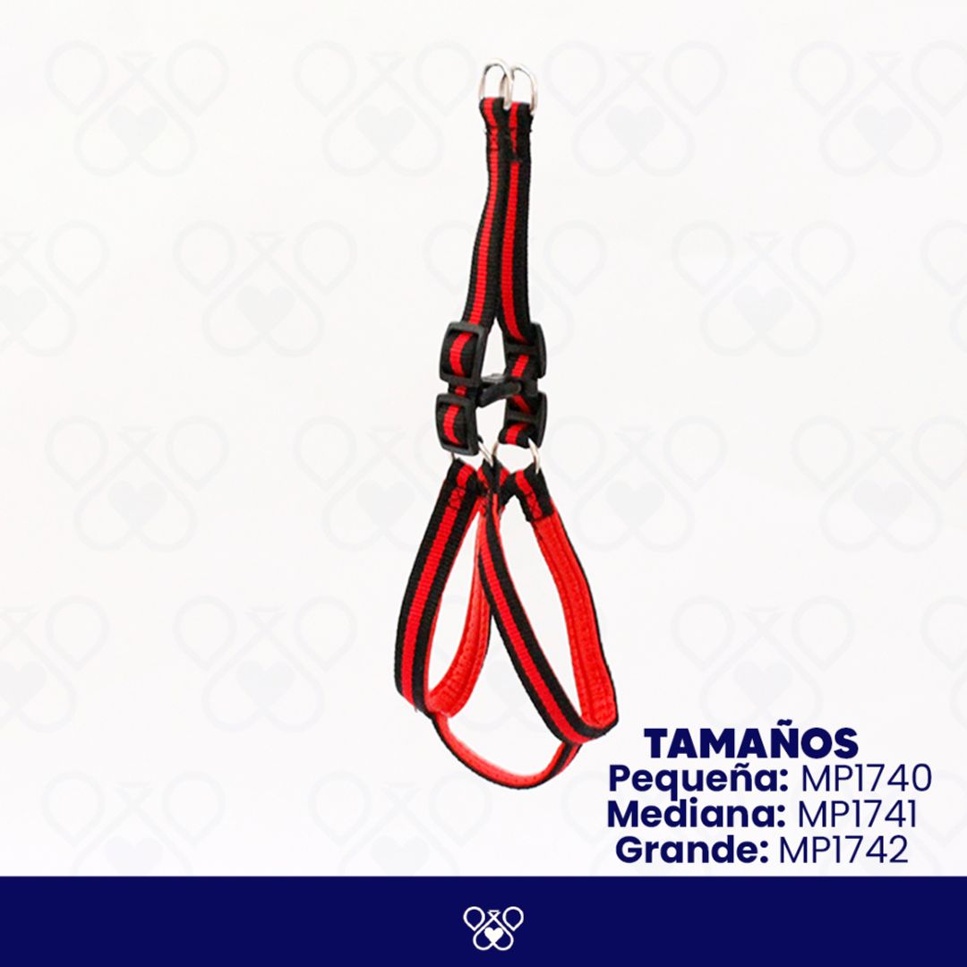 MP174-