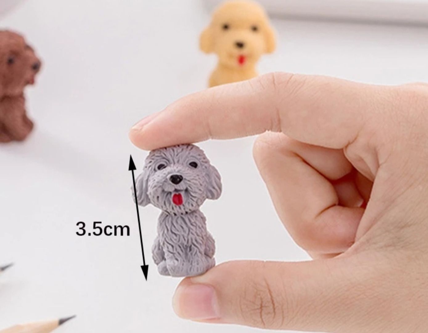 BORRADOR PERRITO X 1