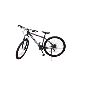 Imagen del producto BICICLETA  LLP-C005                          