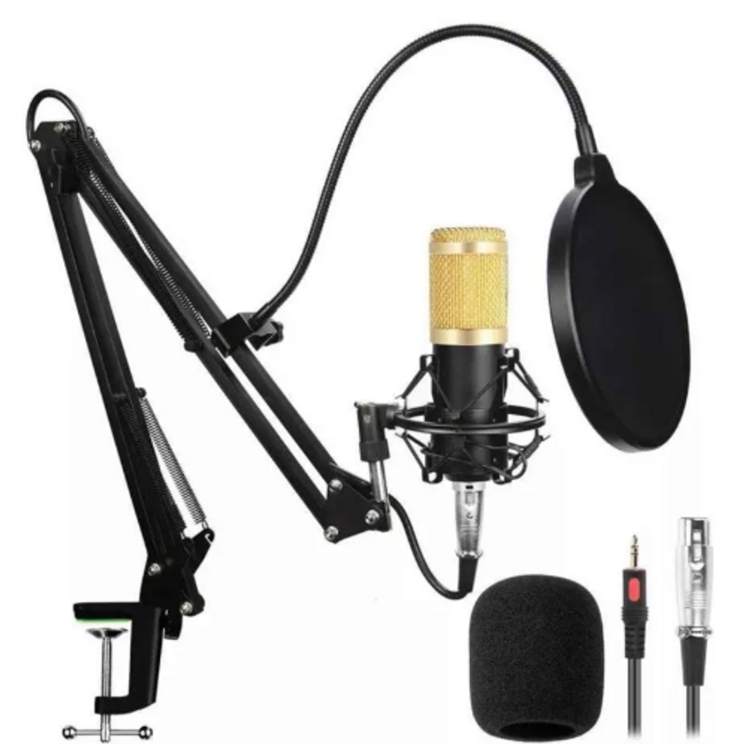 Micrófono condensador profesional DT-01