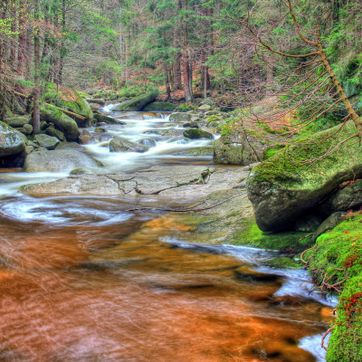 Imagen del producto PAISAJES DEL MUNDO 011