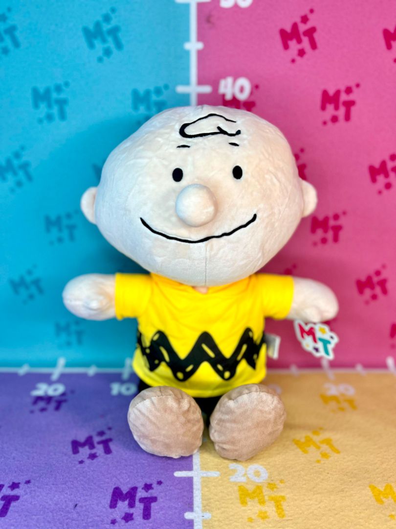 Charlie Brown 45cm TTN